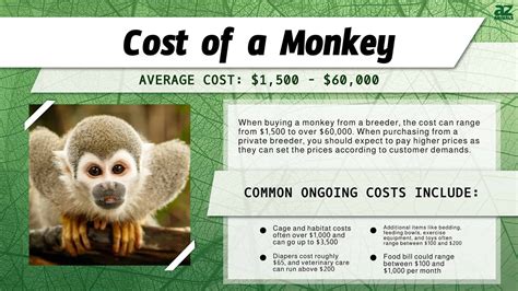 mobile monkey pricing.